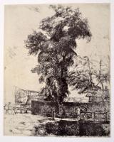 Végvári Lajos: Varga Nándor Lajos. Bp., 1978, Corvina,(Offset-ny.), 10 p+12 t. Magyar, angol, német ...