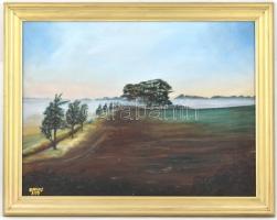 Farkas jelzéssel: Táj. Olaj, vászon. Fa keretben, 46x61 cm