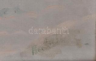 Olvashatatlan jelzéssel: Téli táj. Olaj, vászon. Díszes, neobarokk stílusú fa keretben, 50x69,5 cm