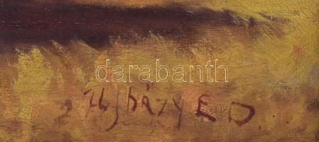 Ujházy E D jelzéssel: Alföldi táj. Olaj, vászon, restaurált. Díszes, neorokokó stílusú fa keretben, ...