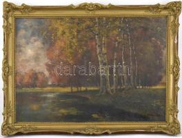 Mednyánszky jelzéssel: Vízparti erdő. Olaj, vászon. Díszes, neobarokk stílusú, kissé sérült fa keret...