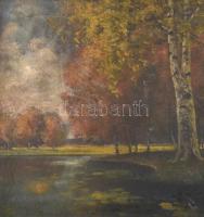 Mednyánszky jelzéssel: Vízparti erdő. Olaj, vászon. Díszes, neobarokk stílusú, kissé sérült fa keret...