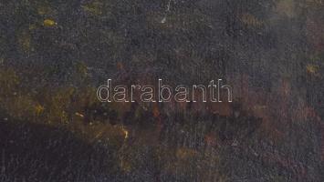 Mednyánszky jelzéssel: Vízparti erdő. Olaj, vászon. Díszes, neobarokk stílusú, kissé sérült fa keret...