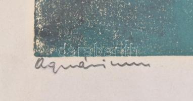 Török Endre (1926-1980): Akvárium. Színes linómetszet, papír, jelzett. Díszes üvegezett fa keretben,...