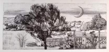 Rékassy Csaba. Supka Magdolna bevezető tanulmányával. Bp., 1981., Corvina, 1 (reprodukció) t.+3-10 p...