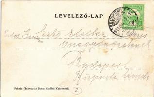 1911 Kecskemét, Takarékpénztári palota, Dávid Bertalan üzlete, kályharaktár, Hazai Általános Biztosí...