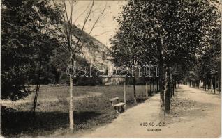 1907 Lillafüred (Miskolc), fasor, nyaraló, villa. D.T.C.L. Mis. 14. (EK)