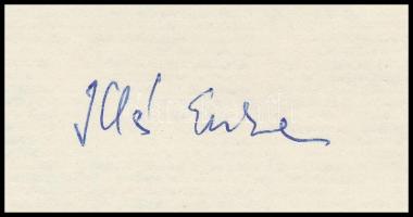 1977 Illés Endre (1902-1986) író, drámaíró, műfordító, műkritikus, a Szépirodalmi Könyvkiadó igazgat...