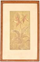 Németh András (1941-): Boldogasszony papucsa. Színes linómetszet, papír, jelzett, művészpéldány E.A....