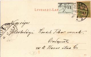 1903 Szolnok, látkép, zsinagóga