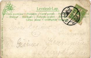 1909 Igló, Zipser Neudorf, Spisská Nová Ves; Redoute, színház, katolikus plébániatemplom és faipari ...