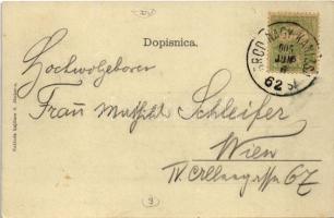 1905 Sziszek, Sisak; hajóállomás, gőzfürdő, "Hrvatska" gőzhajó / ship station, steam bath,...