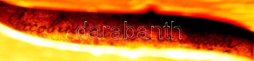 Mesterhegedű 1669 Jacobus Stainer jelzéssel a hegedű belsejében + keménytok