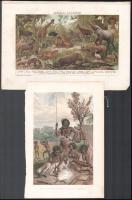 cca 1890-1912 7 db színes nyomat lexikonokból,  viseletek, állatok, ausztráliai őslakók témában. lap...