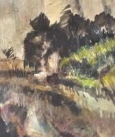 Jelzés nélkül: Expresszív vízparti táj. Olaj. vászon, sérült (kisebb festék hibával), 80x60 cm