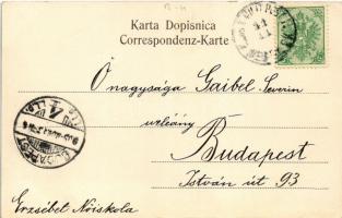 1905 Bileca, Bilek; street view, mosque. W.D.W. 2140