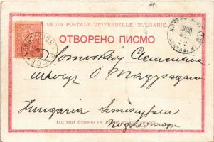 1900 Ruse, Rousse, Russe, Roustchouk, Rustschuk; Vue de Roustchouk coté du Lom / general view, port,...