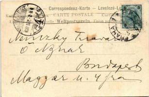 1902 Praha, Prag, Prague; Graben, Kavárna Vádenská / street view, café, shops of Hynek Gottwald, Fer...