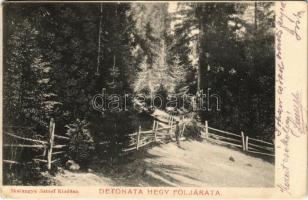 1900 Abrudbánya, Abrud; Detonáta-hegy följárata. Skalangya József kiadása / Detunata Flocoasa / entry to the mountain (EK)