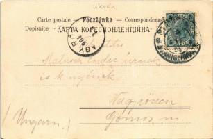 1904 Lviv, Lwów, Lemberg; Rynek / market vendors, shop of Schubuth. Nakl. S. W. Niemojowski (fl)