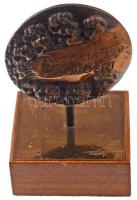 Kampfl József (1939-) 1974. "A szocialista jövőért" névre szóló Br plakett 1978-as gravíro...