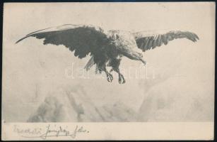 1925