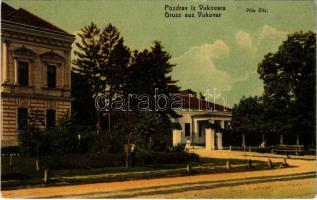 1909 Vukovár, Vukovar; Villa Eltz. Verlag Vilma Baum (EK)