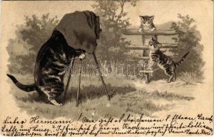 1901 Cat photographer. No. 1090. Emb. litho (EK)