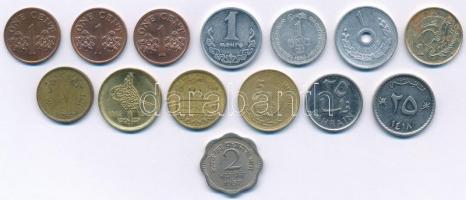14db-os vegyes érmetétel (Ciprus, India, Marokkó, Omán, Szíria, stb.) T:1--2- 14pcs of mixed coin lot (Cyprus, India, Morocco, Oman, Syria, etc.) C:AU-VF