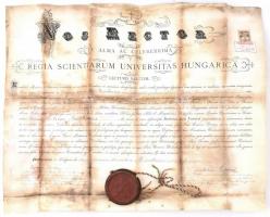 1900 Királyi Magyar Tudományegyetem jogi diplomája, függőpecséttel, okmánybélyeggel, bélyegzéssel, 48,5x63,5 cm