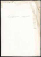 cca 1932 Kinszki Imre (1901-1945) budapesti fotóművész hagyatékából, jelzés nélküli, de a szerző ált...