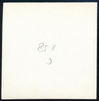 cca 1938 Kinszki Imre (1901-1945) budapesti fotóművész hagyatékából, jelzés nélküli vintage fotó (Ki...