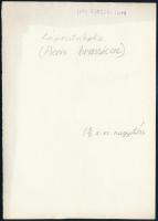 cca 1933 Kinszki Imre (1901-1945) budapesti fotóművész hagyatékából, pecséttel jelzett, feliratozott...