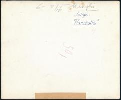 cca 1933 Kinszki Imre (1901-1945) budapesti fotóművész hagyatékából vintage fotóművészeti alkotás (P...