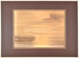 Nemes Tibor (1955-): Sirályok a Balaton felett. Akvarell, papír, paszpartuban, jelzett, hátoldalán f...