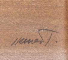 Nemes Tibor (1955-): Sirályok a Balaton felett. Akvarell, papír, paszpartuban, jelzett, hátoldalán f...