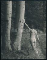 cca 1972 Czakó László (?-?) pécsi fotóművész hagyatékából, jelzés nélküli vintage fotóművészeti alkotás (Akt az erdőben) kartonra felragasztva, gyűrődéssel, 23x17,6 cm