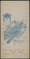 1909 Budapest, Kossák József (?-?) császári és királyi udvari és kamarai fényképész műtermében készü...
