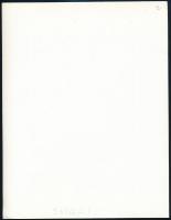 cca 1972 Zsigri Oszkár (1933-?) budapesti fotóművész hagyatékából jelzés nélküli, vintage fotóművész...