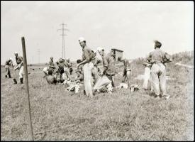 II. világháborús katonai negatívok (csoportkép, vasútépítés, szemle, vonulás, baraképítés, stb.), 10...