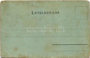 Keszthely, Balaton és Hullám szálloda (vágott / cut)