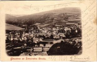 1901 Zelezny Brod, general view, bridge (cut)