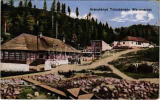 Tótosbánya, Totos (Budfalva, Budesti); Aranybánya / gold mine (EB)