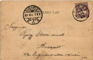 1901 Beregszász, Beregovo, Berehove; Kossuth tér keleti oldal rész, Szálloda az Arany Oroszlánhoz, é...