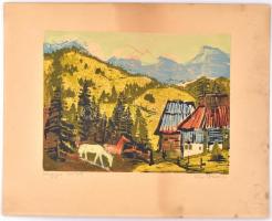Rác András (1926-2013): Hegyek között. Színes linómetszet, karton, jelzett, szélein kissé foltos, 25...