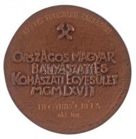 1967. "Soltz Vilmos 1833-1901 / Országos Magyar Bányászati és Kohászati Egyesület" Br emlé...
