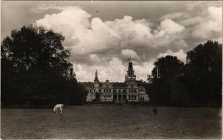 1936 Ókígyós, Szabadkígyós; Wenckheim kastély, legelésző lovak. photo