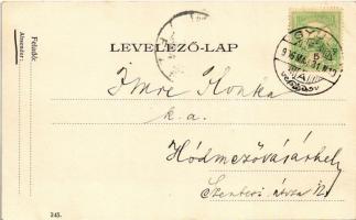 1906 Gyula, a régi gyulai vár