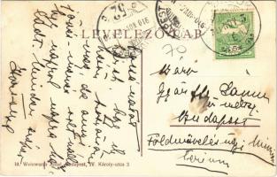 1910 Felsőzsuk, Zsuk, Jucu de Sus; kastély kúria, id. Weinwurm Antal kiadása / castle villa