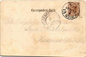 1898 Albine Pecha, was an Austrian nurse who contracted pneumonia due to unfortunate circumstances. ...